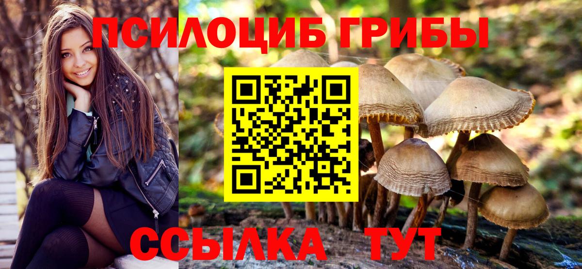 Псилоцибиновые грибы MAGIC MUSHROOMS  Вход с VPN  Советская Гавань 