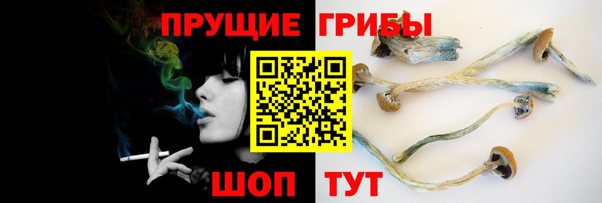 Псилоцибиновые грибы MAGIC MUSHROOMS Советская Гавань